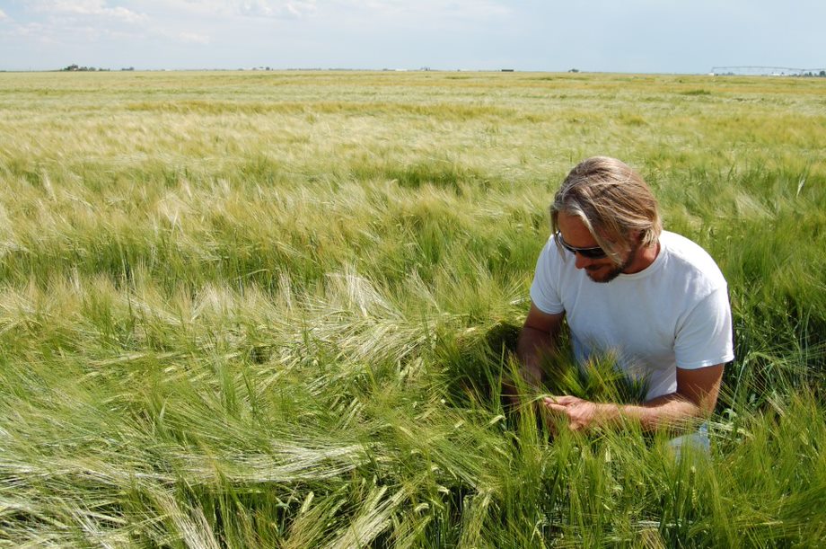 man crouching in field