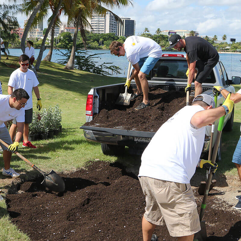 People shoveling dirt from a truck bed