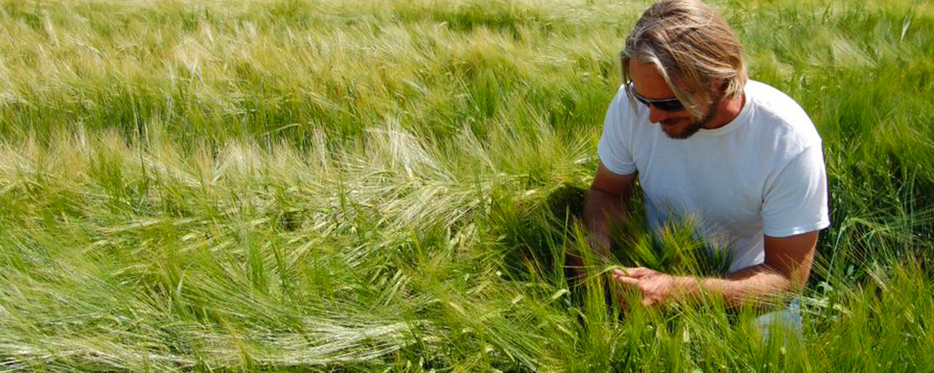 Agricultural Supply Chain
