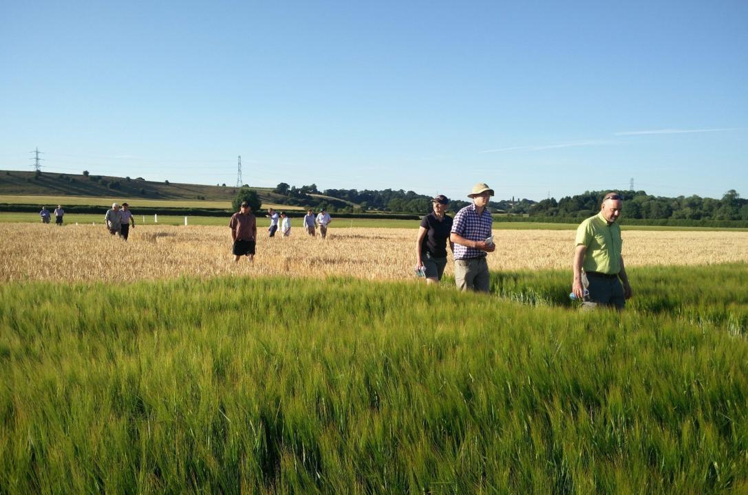 Molson Coors Growers Group UK Summer Meeting
