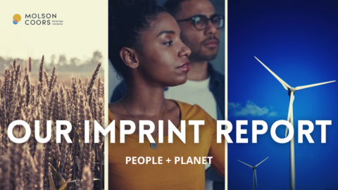 Our Imprint Report
