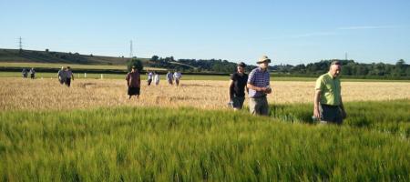 Molson Coors Growers Group UK Summer Meeting